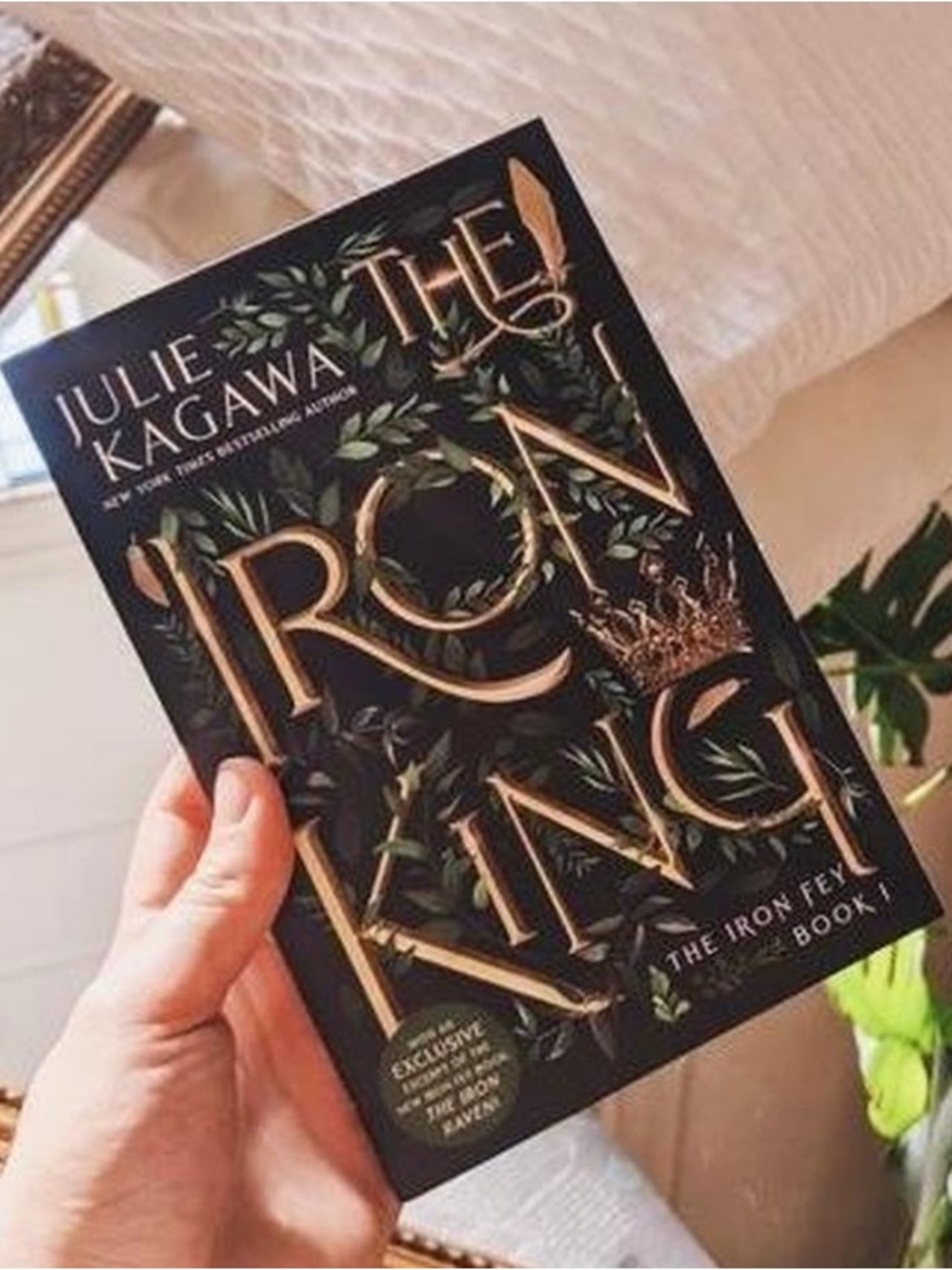 🎀3/$25🎀 The Iron King by Julie Kagawa Book 1 Paperback Book